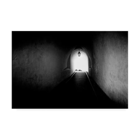 Vladimir Kostk 'Tunnel Light' Canvas Art,22x32